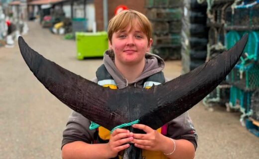 Giant bluefin tuna caught off UK coast for first time in 60 years