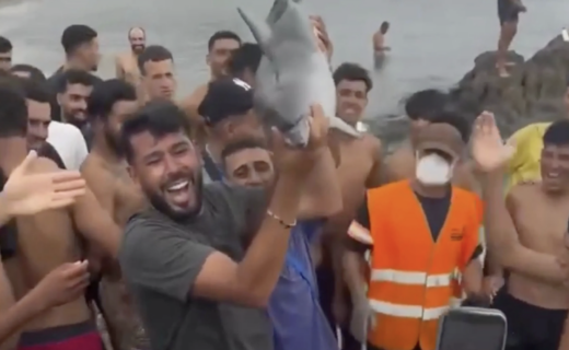 Illegal migrants in Ceuta triumphantly hold baby dolphin aloft after ‘whacking it over the head’ in horror attack