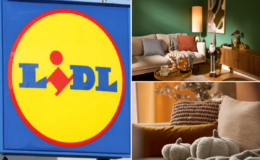 New autumn home range hits Lidl stores this week — with limited-edition decorations from £2.99