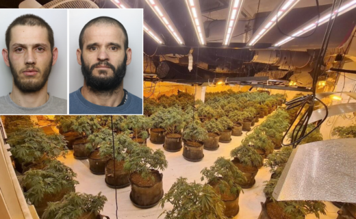 British Home Stores branch converted into £1.3 million cannabis farm