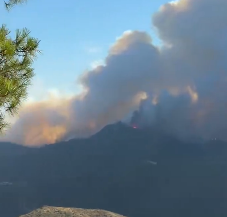 Huge wildfire erupts in British holiday hotspot as blaze sparks emergency evacuations