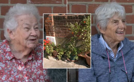 Council row erupts after Tory authority orders pensioner to remove street garden outside her home: 'I love doing it!'