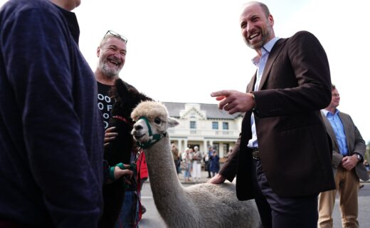 Prince William leaves locals in stitches as he strokes alpacas on Dartmoor visit