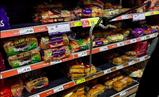 Snake discovered in supermarket bread aisle as warning issued over surge in abandonment