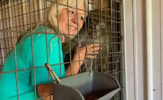 Foster mother who traded American teenager for monkey avoids jail sentence