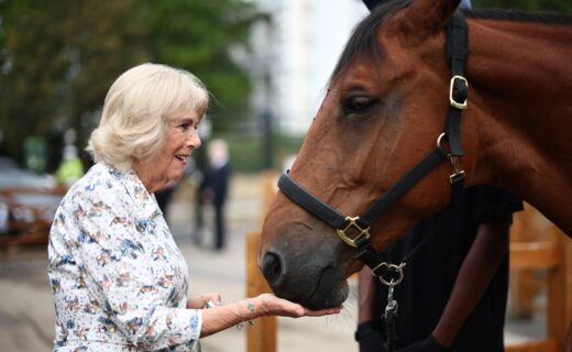 Queen Camilla marks special 30th anniversary as she visits beloved Brixton horse club