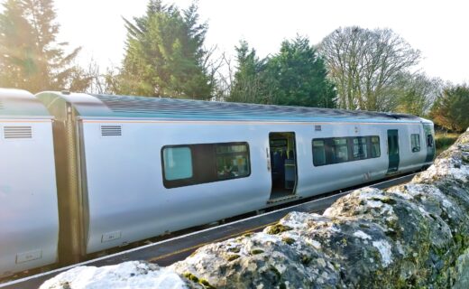Boy, 12, dies after car he was in struck by train